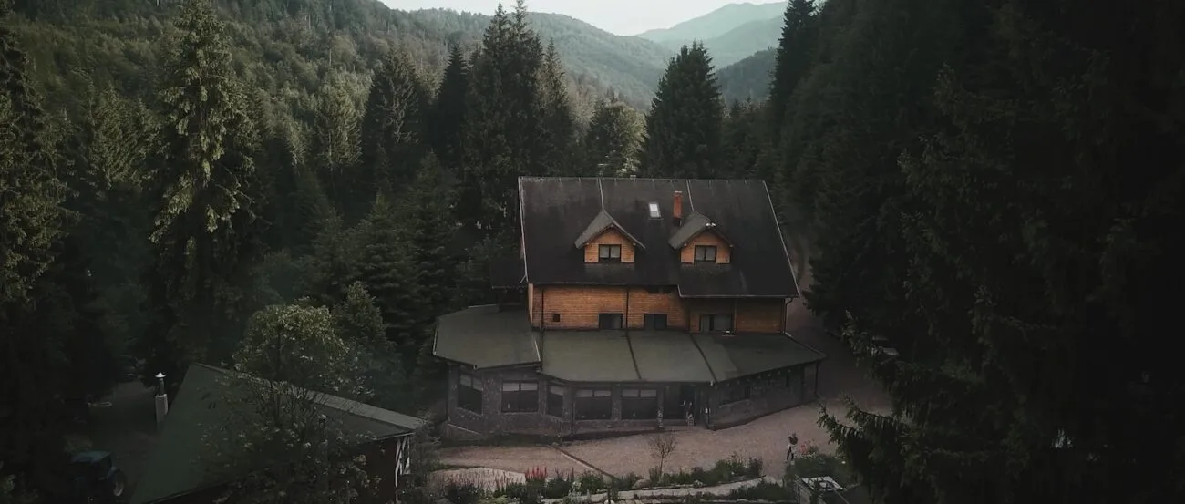 Winter forest at Hadar Chalet during a marriage proposal