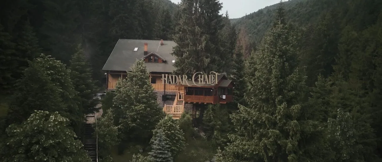 Claudia and Marian celebrating their engagement at Hadar Chalet
