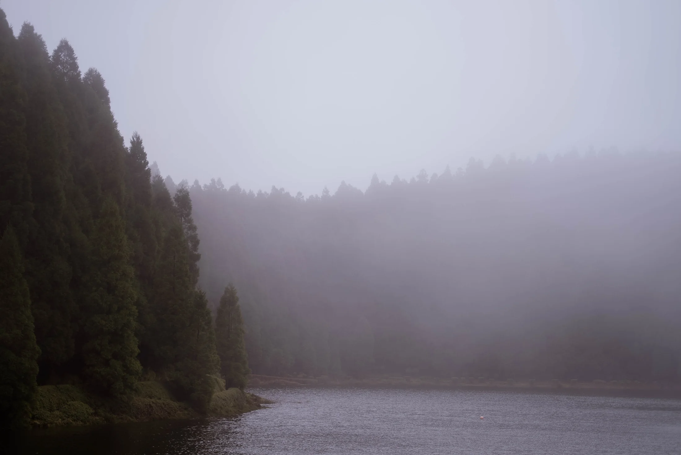 Misty crater lake on São Miguel in the Azores