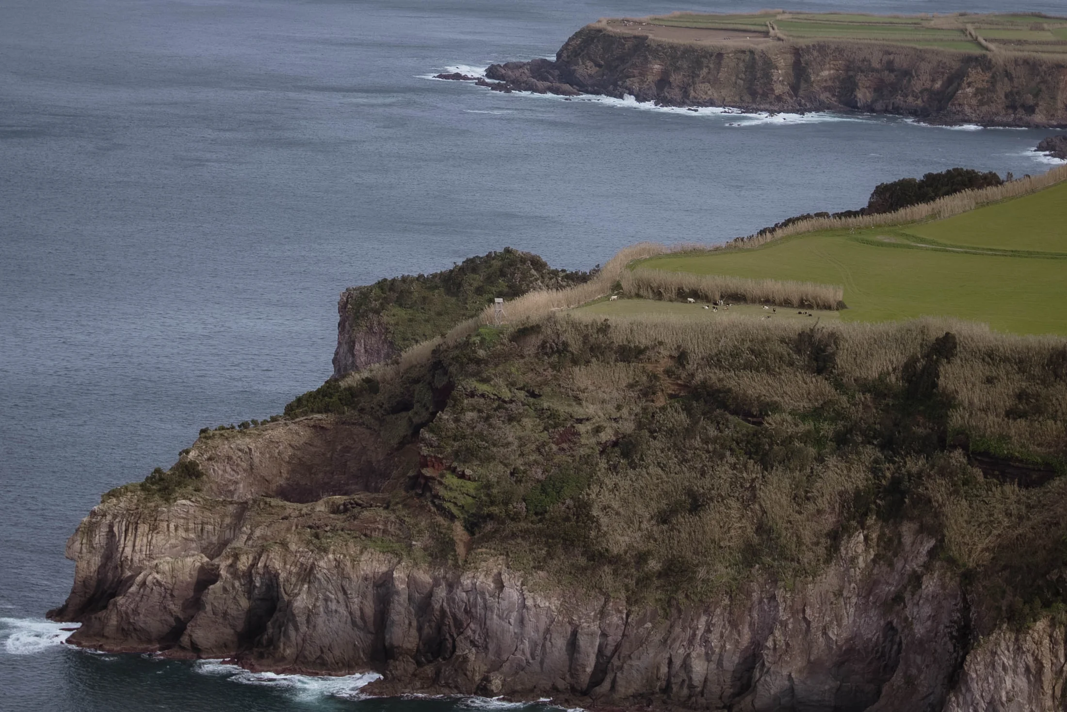 Green volcanic coastline and Atlantic Ocean in the Azores