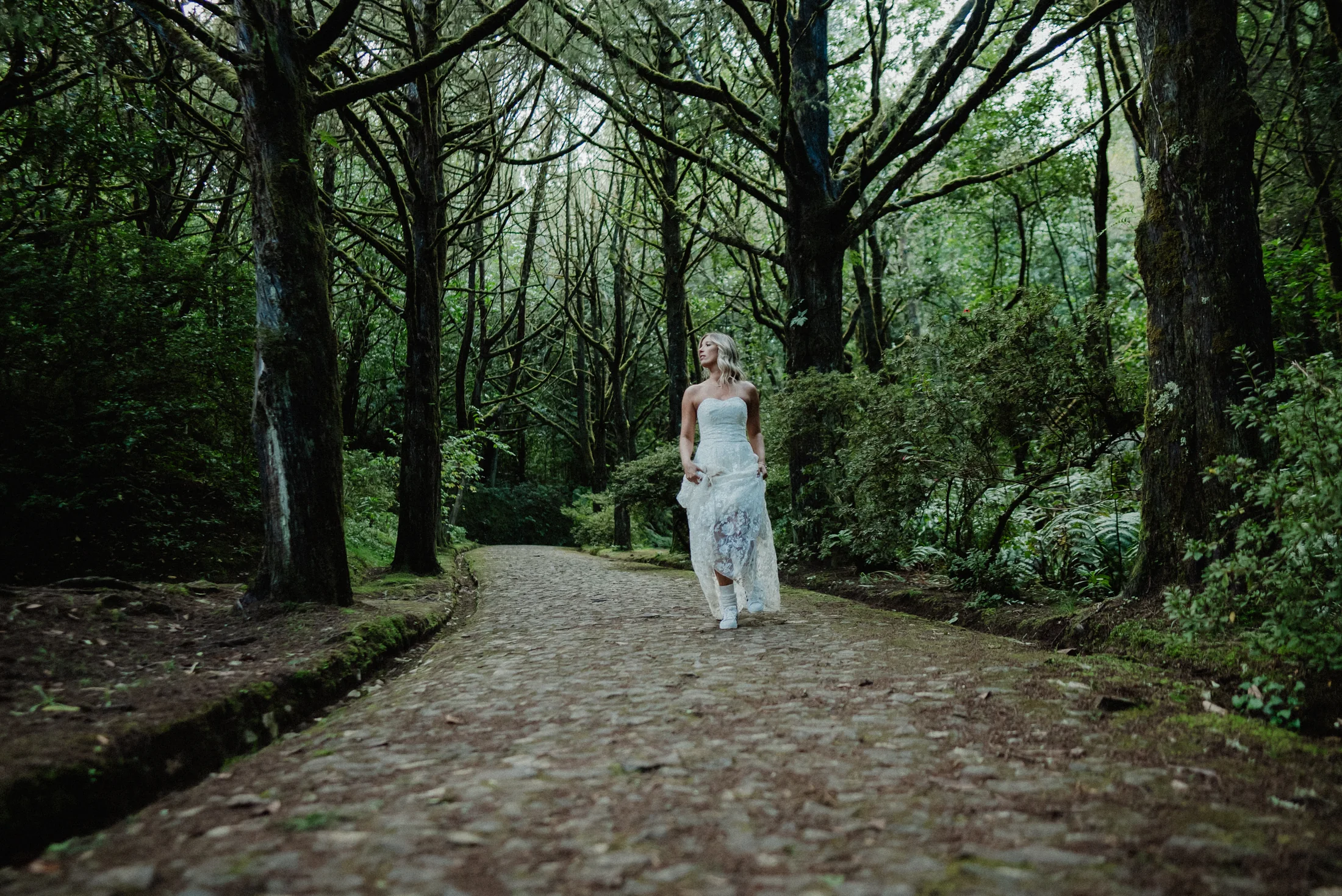 Couple beneath the ancient trees of Madeira
